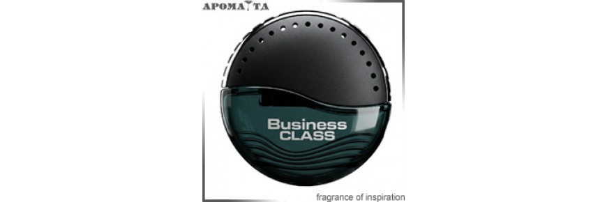 BUSINESS CLASS (дефлектор)