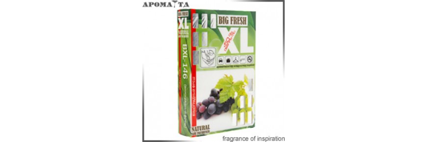 BIG FRESH XL BIG FRESH XL