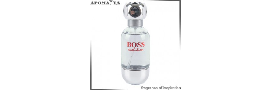BOSS Evolution