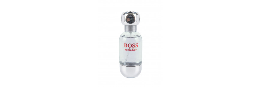 BOSS Evolution