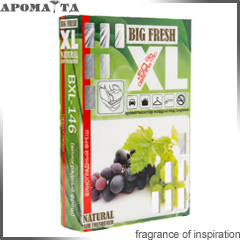 BIG FRESH XL (9)